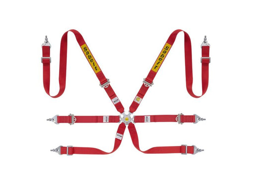 Sabelt Silver Rally 2x2 6-Point Racing Harness – product detail – photo 1