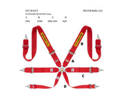 Sabelt Silver Rally 3x3 6-Point Racing Harness – product detail – photo 2