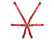 Schroth Flexi 2x2 6-Point Racing Harness – product detail – photo 1