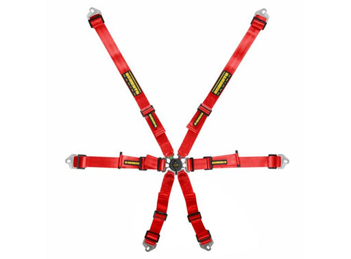 Schroth Flexi 2x2 6-Point Racing Harness – product detail – photo 1