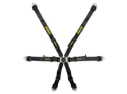 Schroth Flexi 2x2 6-Point Racing Harness – Black – photo 4