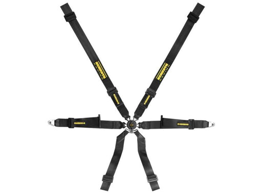 Schroth Profi XLT 2x2 6-Point Racing Harness – product detail – photo 1